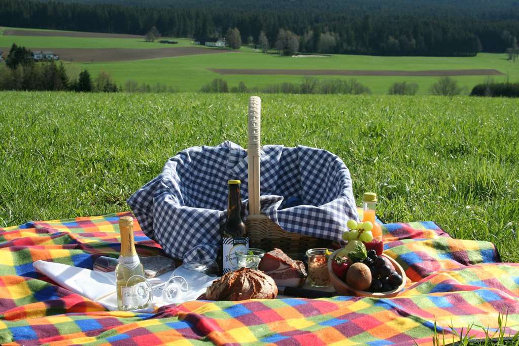 Falkensteiner Hotel Bad Leonfelden Superior (Adults Only) Commodités photo